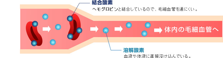 高気圧・高濃度酸素がもたらす酸素カプセルの実力